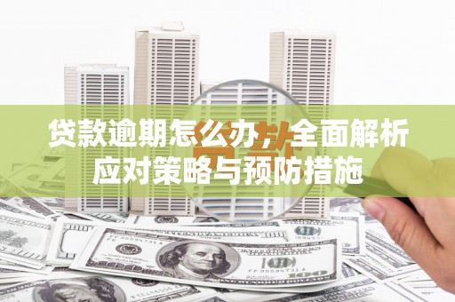 那曲贷款逾期怎么办，全面解析应对策略与预防措施