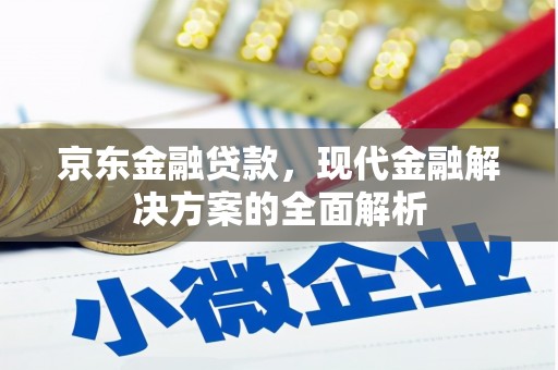 那曲京东金融贷款，现代金融解决方案的全面解析