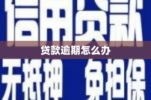 那曲贷款逾期怎么办