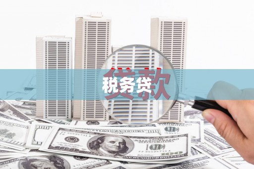 那曲税务贷
