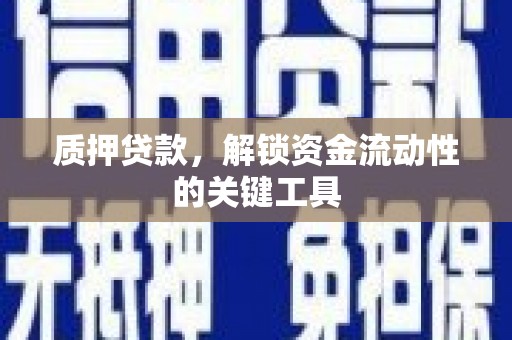 那曲质押贷款，解锁资金流动性的关键工具