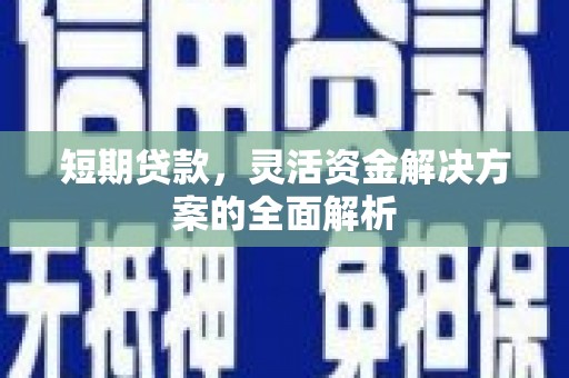 那曲短期贷款，灵活资金解决方案的全面解析
