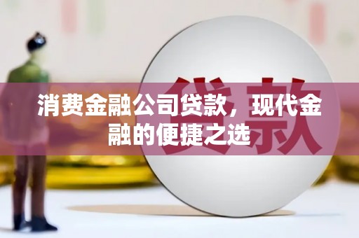 那曲消费金融公司贷款，现代金融的便捷之选