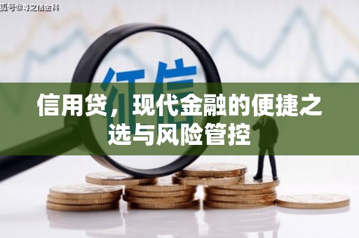 那曲信用贷，现代金融的便捷之选与风险管控