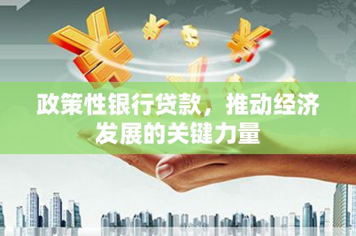 那曲政策性银行贷款，推动经济发展的关键力量