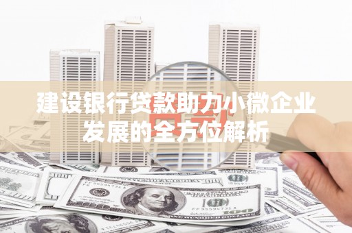 那曲建设银行贷款助力小微企业发展的全方位解析