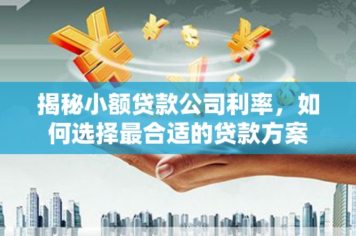 那曲揭秘小额贷款公司利率，如何选择最合适的贷款方案