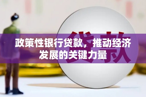那曲政策性银行贷款，推动经济发展的关键力量