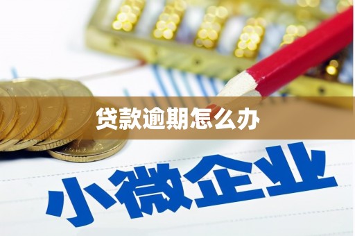 那曲贷款逾期怎么办