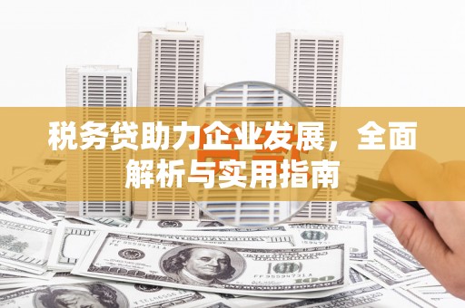 那曲税务贷助力企业发展，全面解析与实用指南