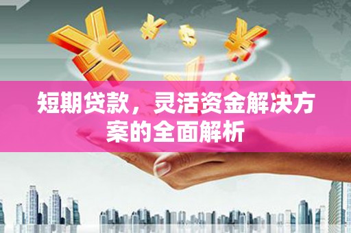 那曲短期贷款，灵活资金解决方案的全面解析