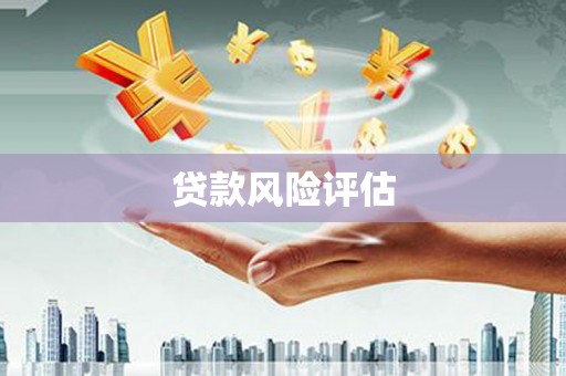 那曲贷款风险评估
