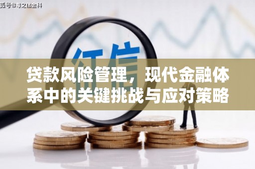 那曲贷款风险管理，现代金融体系中的关键挑战与应对策略