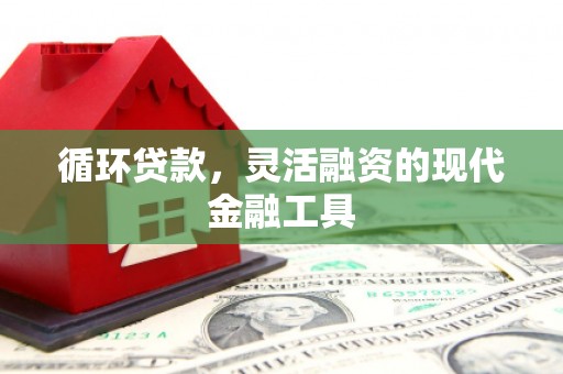 那曲循环贷款，灵活融资的现代金融工具