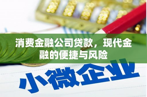 那曲消费金融公司贷款，现代金融的便捷与风险