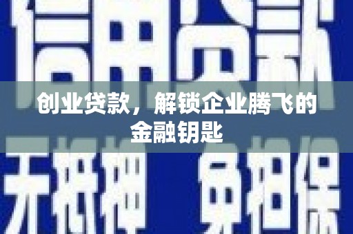 那曲创业贷款，解锁企业腾飞的金融钥匙