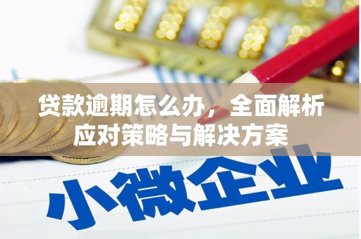那曲贷款逾期怎么办，全面解析应对策略与解决方案