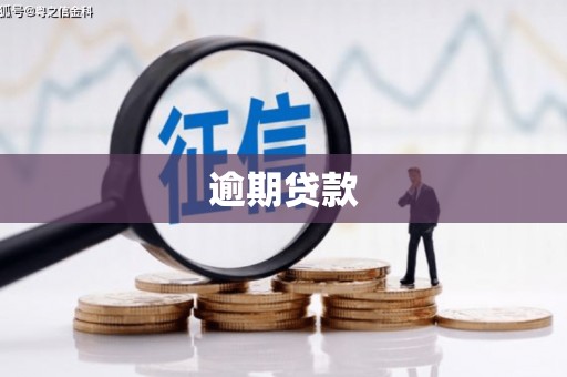 那曲逾期贷款