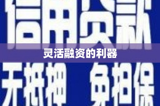 那曲灵活融资的利器