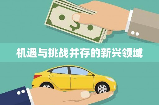 那曲机遇与挑战并存的新兴领域