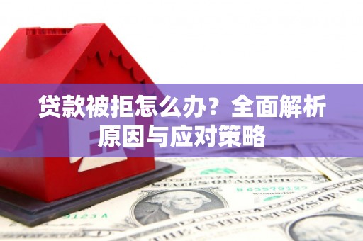 那曲贷款被拒怎么办？全面解析原因与应对策略