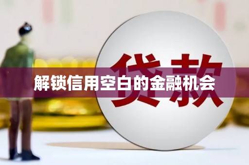 那曲解锁信用空白的金融机会