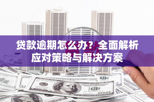 那曲贷款逾期怎么办？全面解析应对策略与解决方案