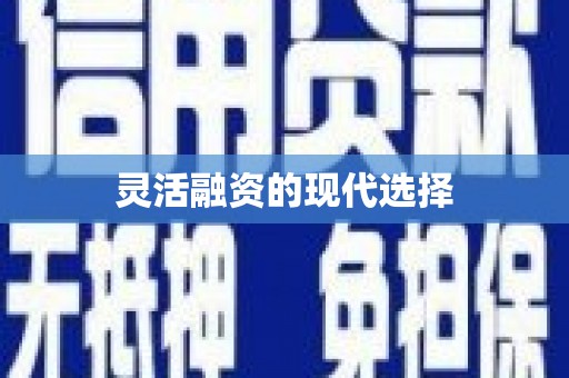 那曲灵活融资的现代选择