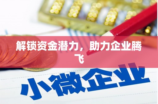 那曲解锁资金潜力，助力企业腾飞