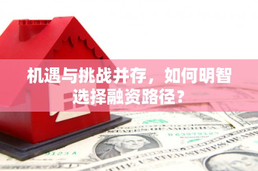 那曲机遇与挑战并存，如何明智选择融资路径？