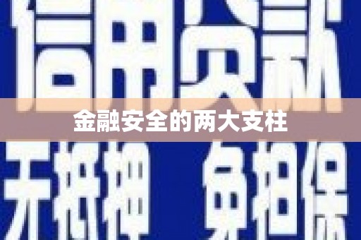 那曲金融安全的两大支柱