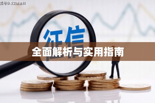 那曲全面解析与实用指南