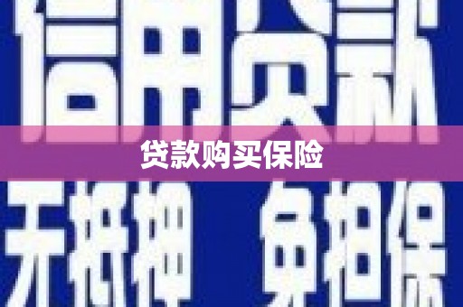 那曲贷款购买保险