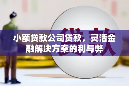 那曲小额贷款公司贷款，灵活金融解决方案的利与弊