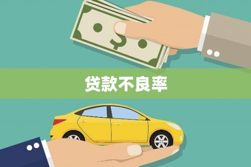 那曲贷款不良率